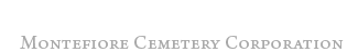 New Montefiore Logo Alt